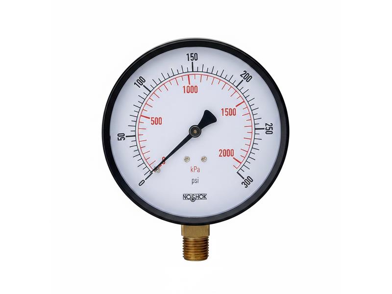 NOSHOK 15-110-15-PSI/KPA-SSB-CC