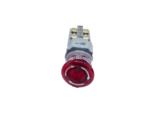 IDEC AVLD39922DN-R-24V