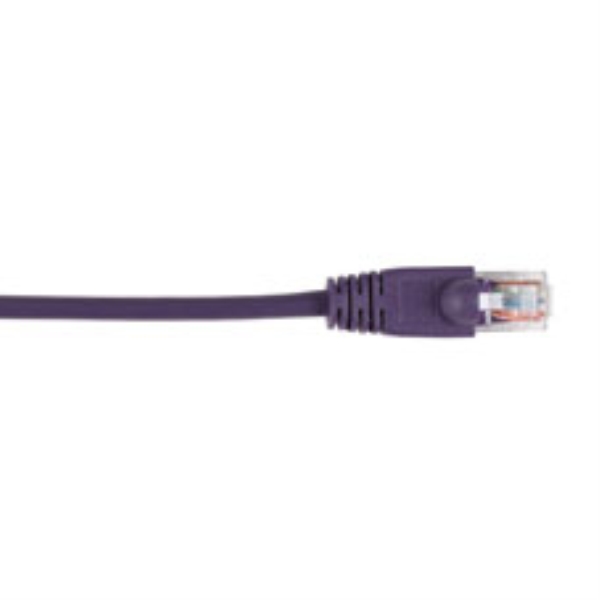CAT5EPC-010-VT-10PAK by BLACK BOX CORP