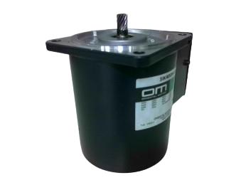 ORIENTAL MOTOR 5IK40GN-ECH