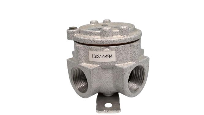 CORTEM GROUP SL24.1N