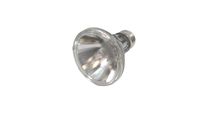 PHILIPS 39PAR20-EVP-SP10-120V