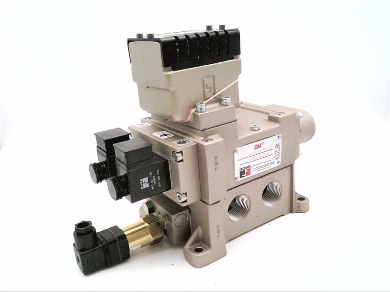 ROSS CONTROLS DM2DNA55A21