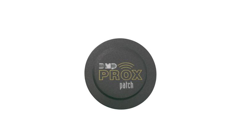 DMP CORPORATION 1306P/10