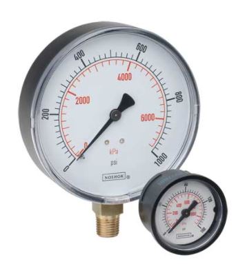 NOSHOK 20-110-60-PSI/KPA-1/8-PMC-BP3-CC