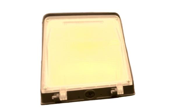 RAB LIGHTING HL-WPC80PP