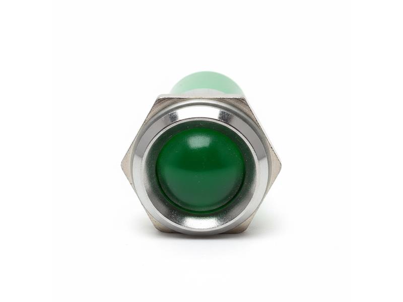 CHICAGO MINIATURE 19530351