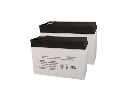 RADWELL VERIFIED SUBSTITUTE BR1000G-SUB-BATTERY-SET