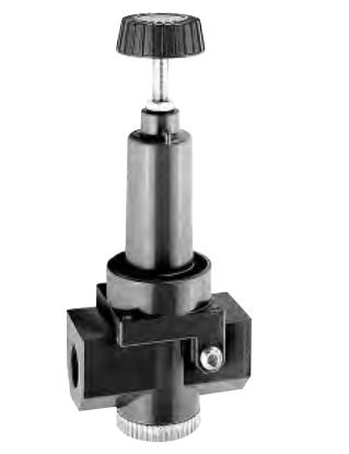 WILKERSON PNEUMATIC R30-06-G00