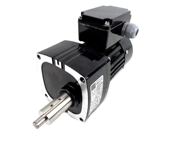 BODINE ELECTRIC 34R4BFPP-E1