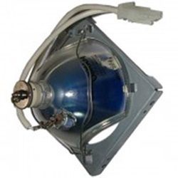 USHIO 5000793 LAMP & HOUSING: