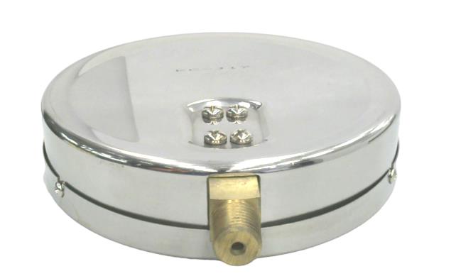 PIC GAUGES 4001-4LG