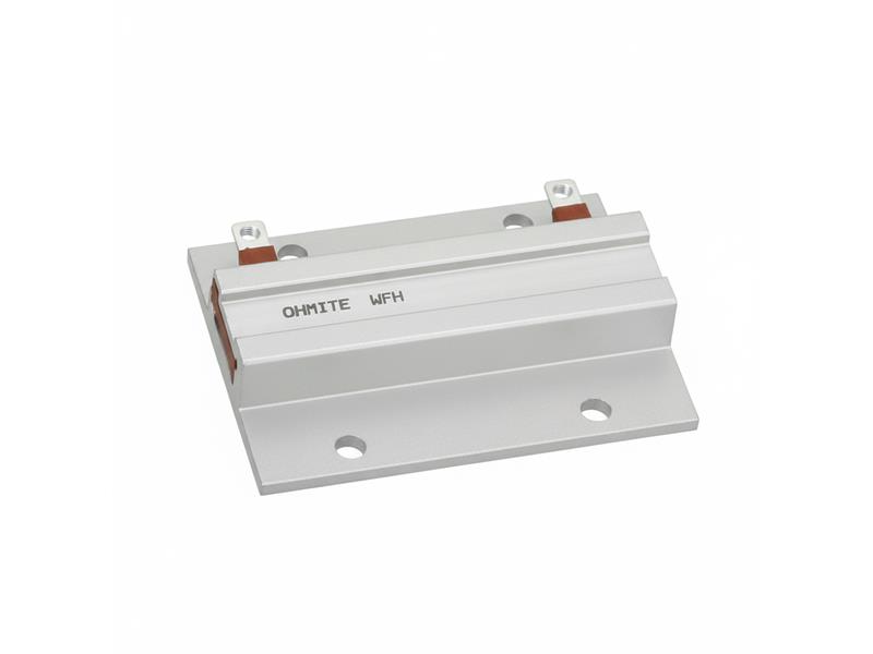 OHMITE WFH160L100JE