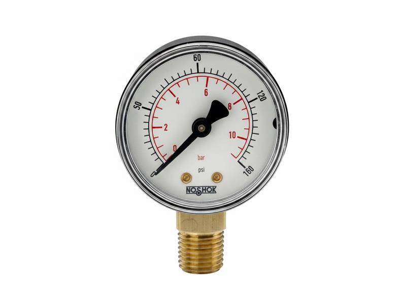 NOSHOK 20-100-15-PSI/KPA-BP3