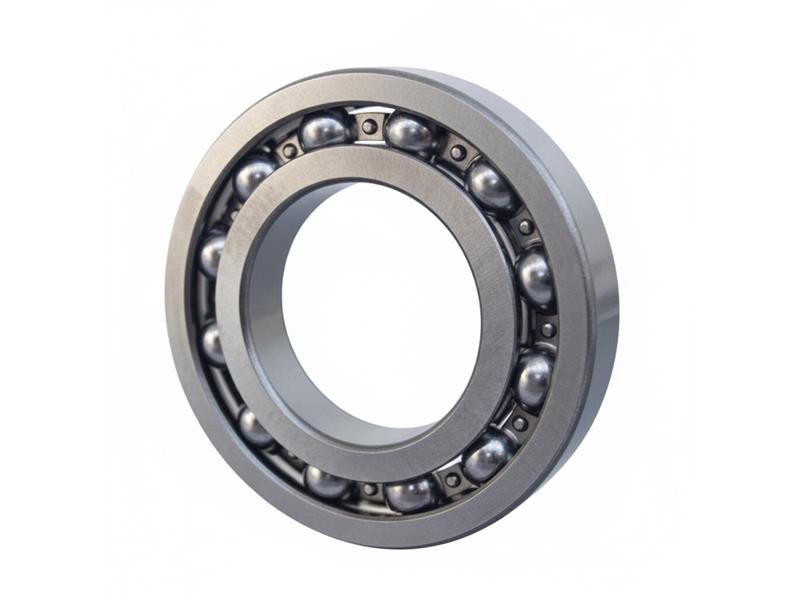 16009 by SCHAEFFLER GROUP