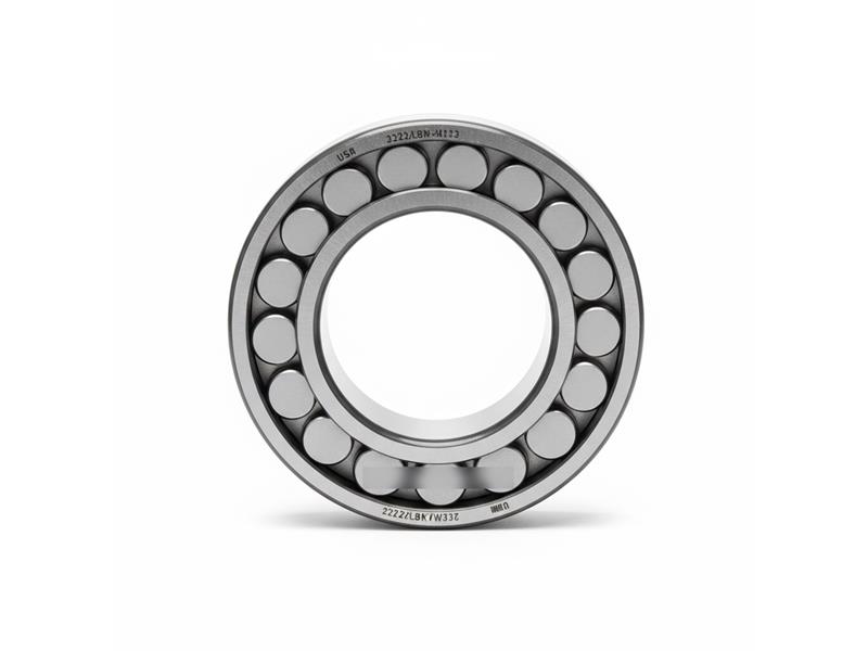 22222LBK/W33/C3 por REXNORD