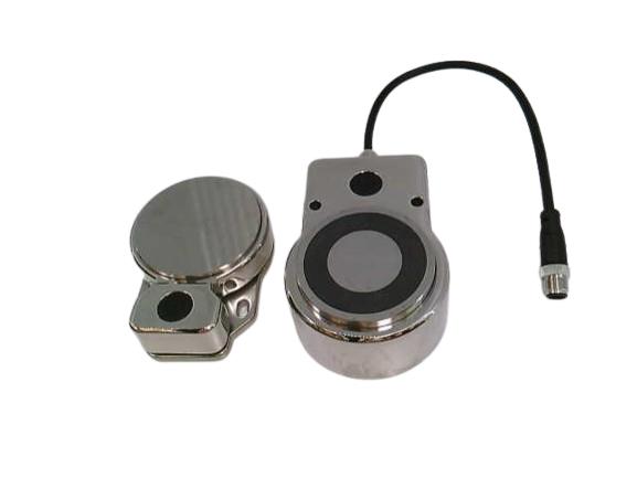 IDEM SAFETY SWITCHES MGL-1SS-M-462006