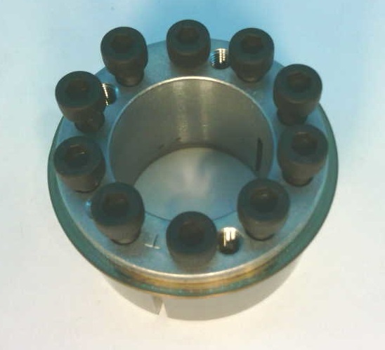 US TSUBAKI PL030X050RE-SS