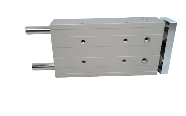 FESTO DFM-32-160-P-A-KF