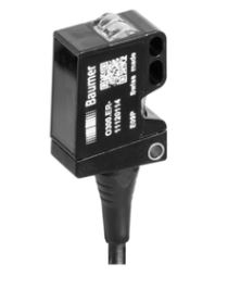 O300.SP-GW1B.72N par BAUMER ELECTRIC