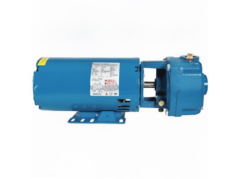 10CS5M by CRANE PUMPS & SYSTEMS INC