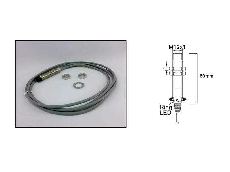 NBB2-12GM60-WS-SUB par RADWELL VERIFIED SUBSTITUTE