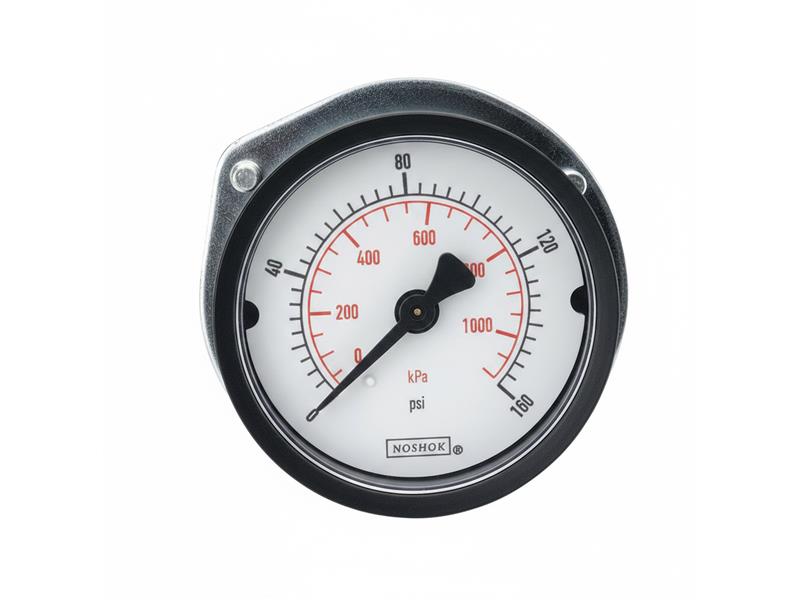 25-110-100-PSI/KG/CM2-BLFF por NOSHOK