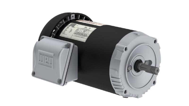 .3318ES3E56CFL-S by WEG