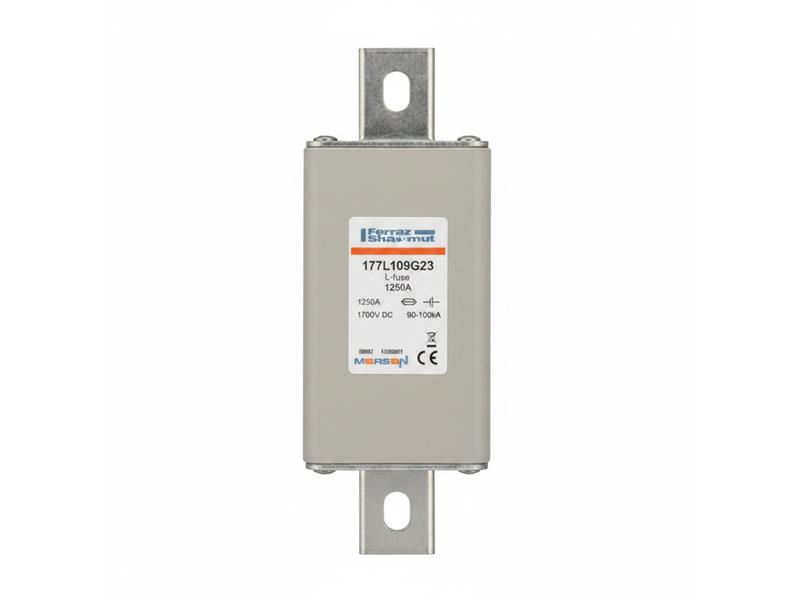 177L109G23 par MERSEN