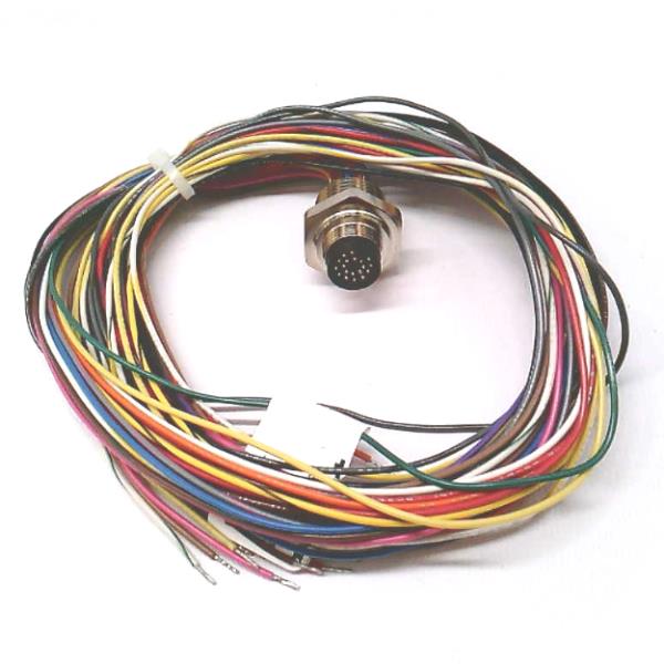 TURCK BSF 19-19-1