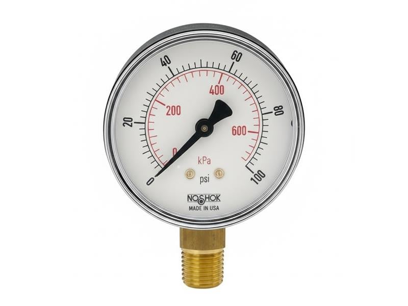 15-110-160-PSI/KG/CM2-PMC por NOSHOK