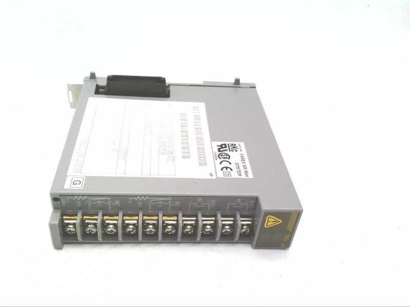 RKC H-TIO-A-FK09-V*NN/CE