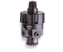 NORGREN R24-400-RNLA