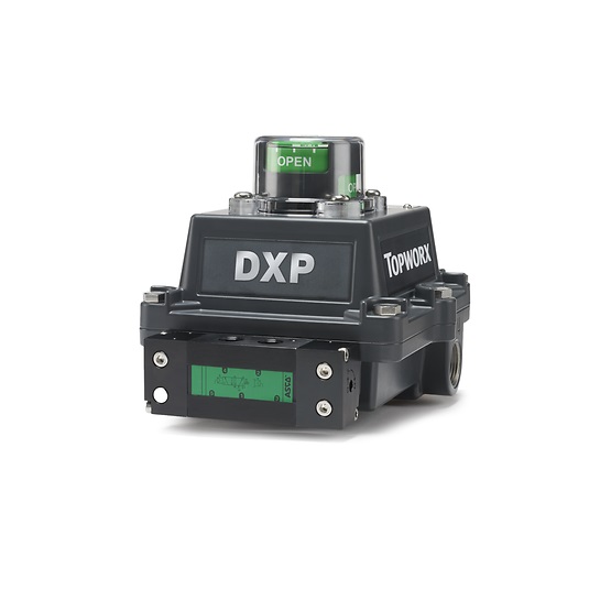 TOPWORX DXP-M21GNEB000003857
