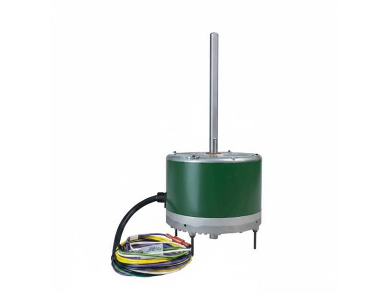 6303S por REGAL REXNORD