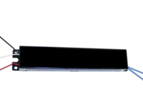 GTE 49590
