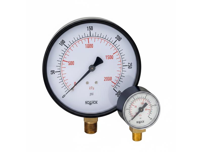 NOSHOK 25-110-100-PSI/KPA-SSB-PMC