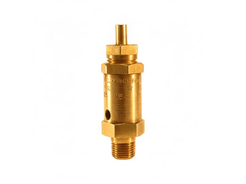 125SS-1-200 by KINGSTON VALVE