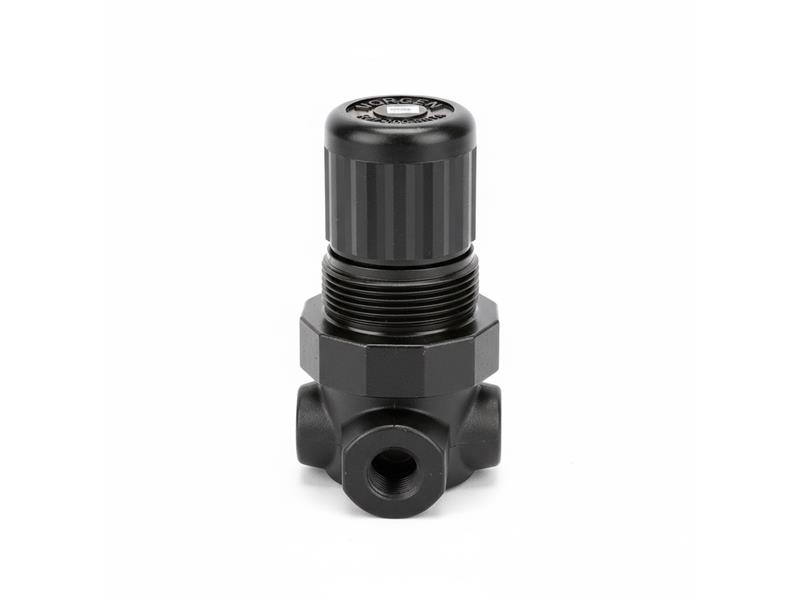 NORGREN R07-100-RNTA