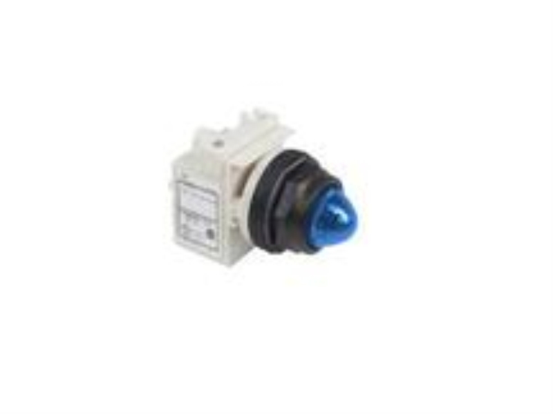 SCHNEIDER ELECTRIC 9001-SKP35L9