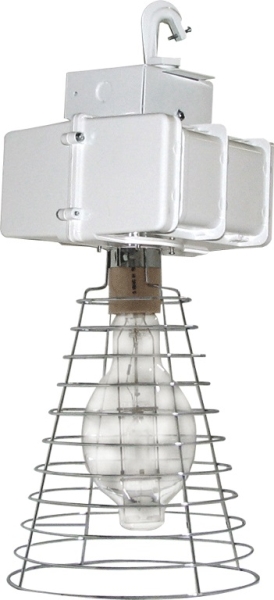 RAB LIGHTING BTH250GPSQ