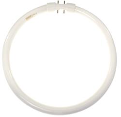 RADWELL VERIFIED SUBSTITUTE FPC22/841-SUB