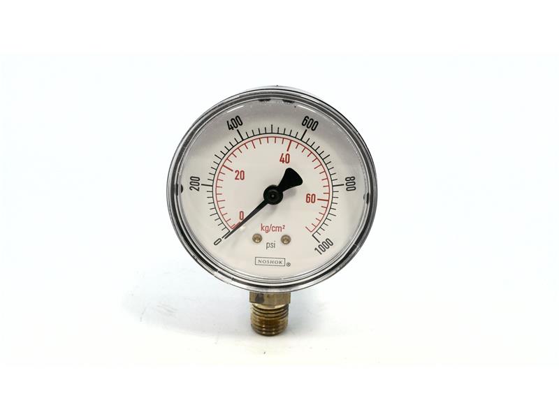 NOSHOK 25-100-1000-PSI/KG/CM2