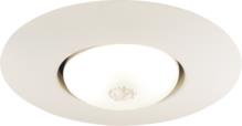 JUNO LIGHTING 250 WH
