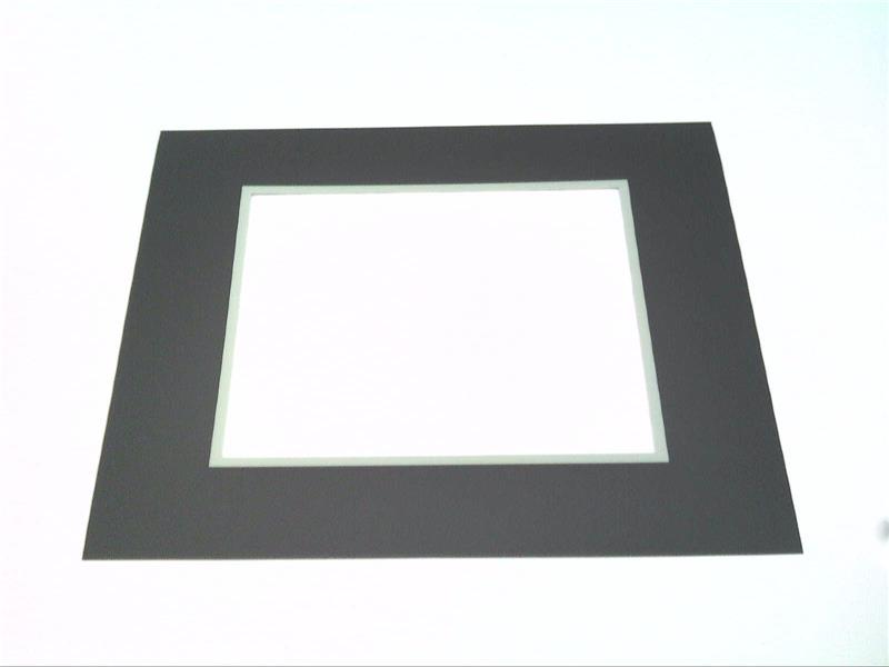 RADWELL VERIFIED SUBSTITUTE 100G-UT10T2R0C0-SUB-OVERLAY