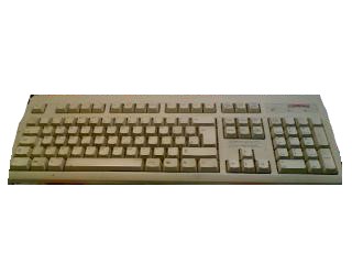 HEWLETT PACKARD COMPUTER 166516-B36