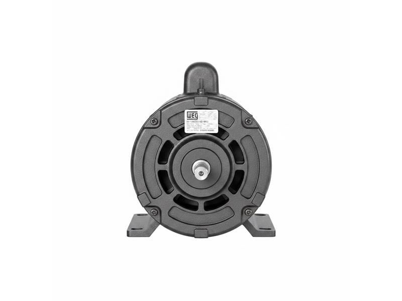 00156ET3E143T-W22 by WEG