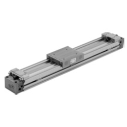 SMC MY1C25TFG-600