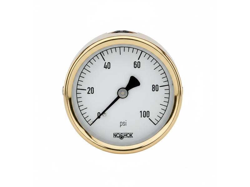 25-310-400-PSI-SST-MIP-CFF-CC di NOSHOK