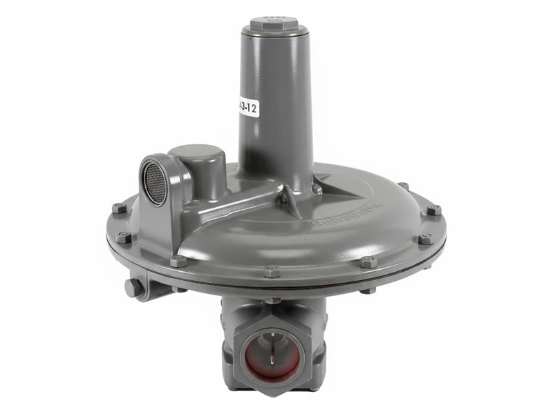 243-12-IRV-1 1/4 par SENSUS